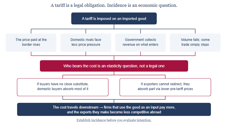 Flow diagram showing that a tariff raises the border price, eases pressure on domestic rivals, raises government revenue and reduces trade volume; who actually bears the cost depends on the relative elasticity of buyers and exporters; and the cost travels downstream to firms using the good as an input.